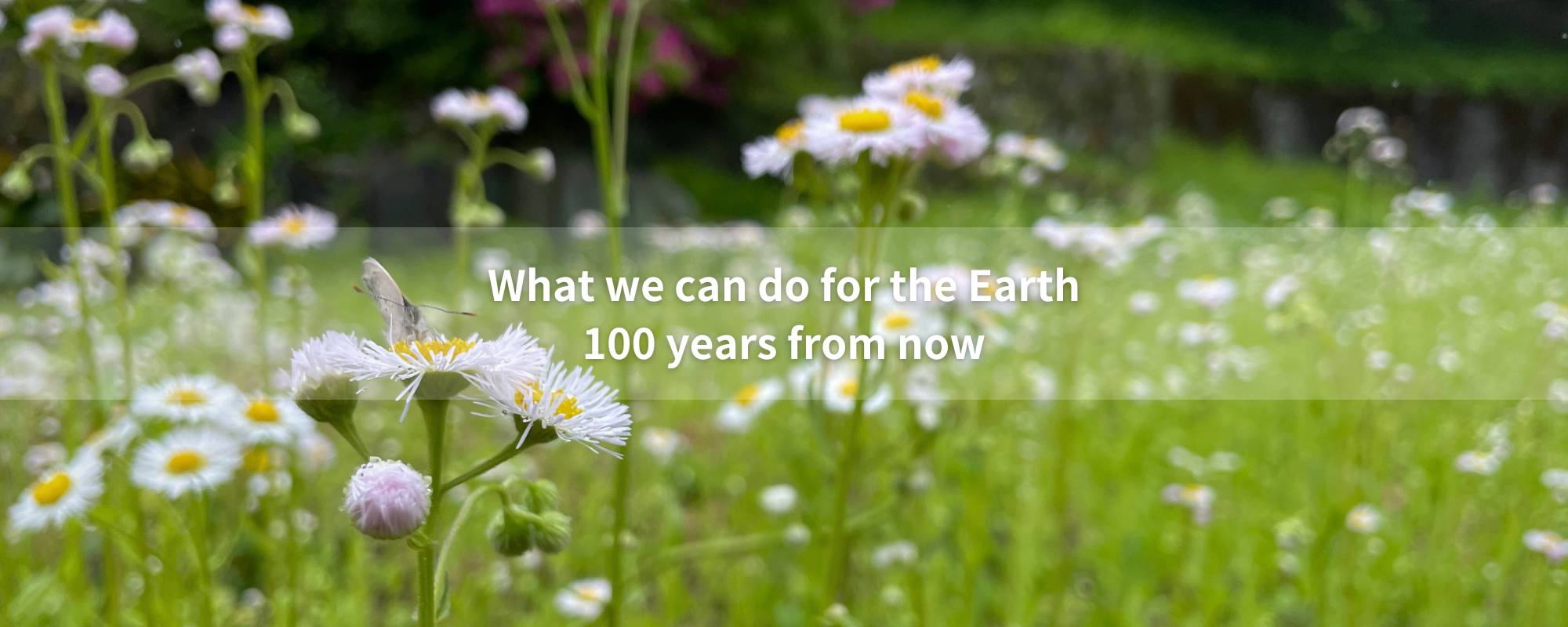 What we can do for the Earth 100 years from now